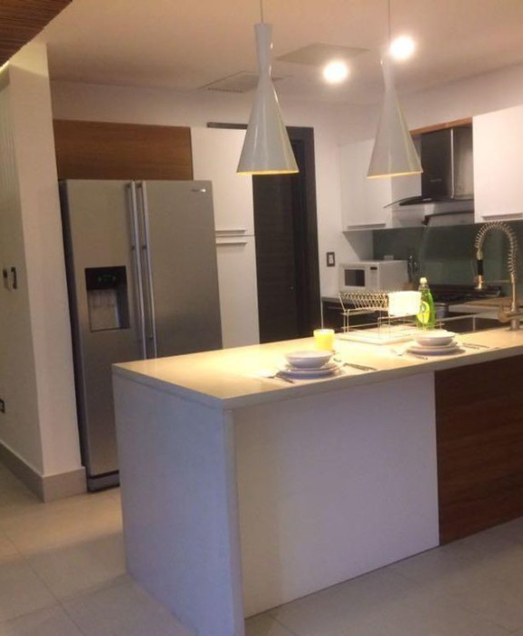 Apartamento 1 Habitación Amueblado en Piantini